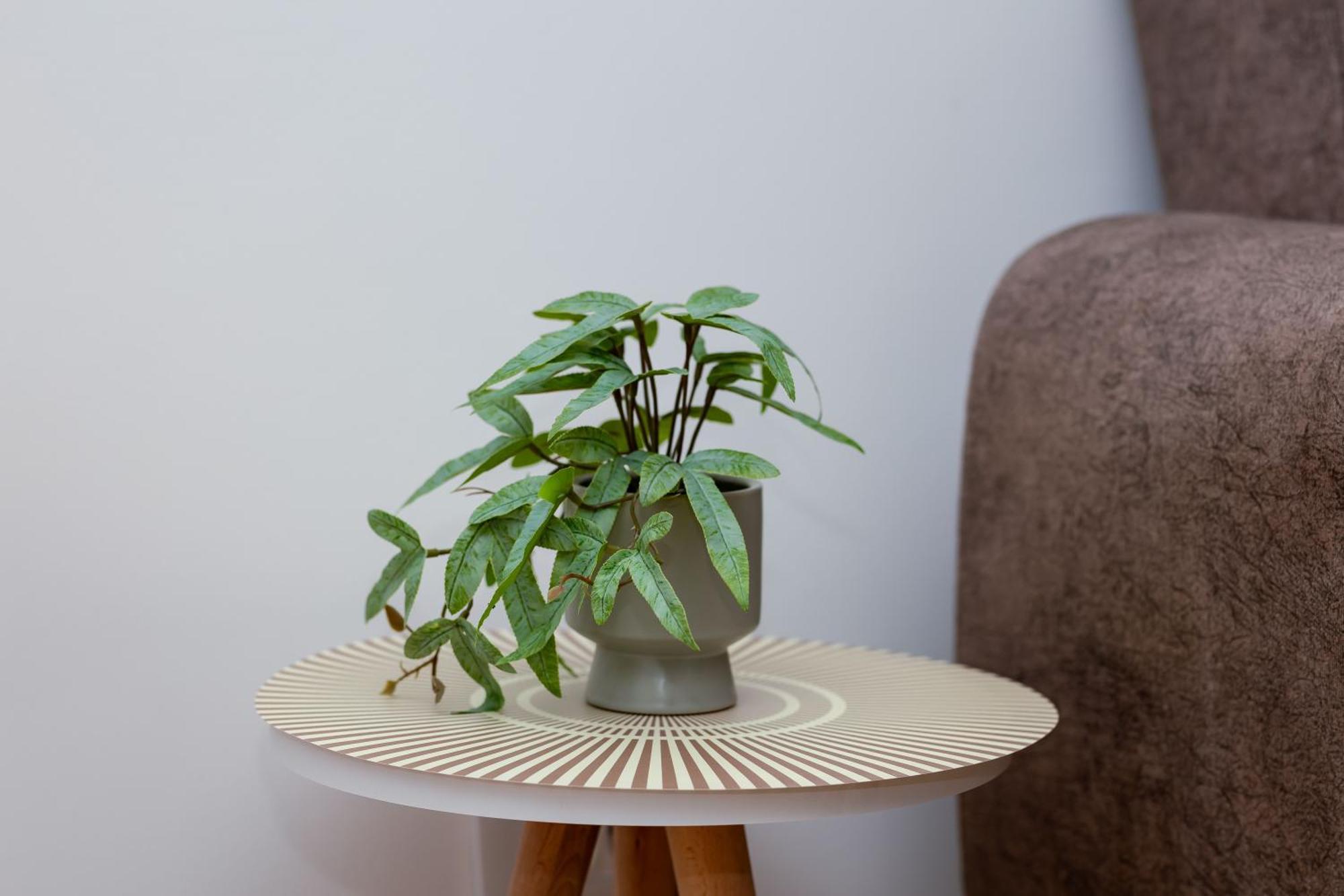 Apartmán Elegant Escape Podgorica Exteriér fotografie